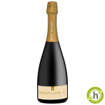 Pinotype cuvée 2016 - Blanc de blancs Brut nature